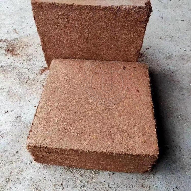 120-150 blocs par heure Machine hydraulique de fabrication de blocs de tourbe de coco pour une presse de blocs de 5 kg