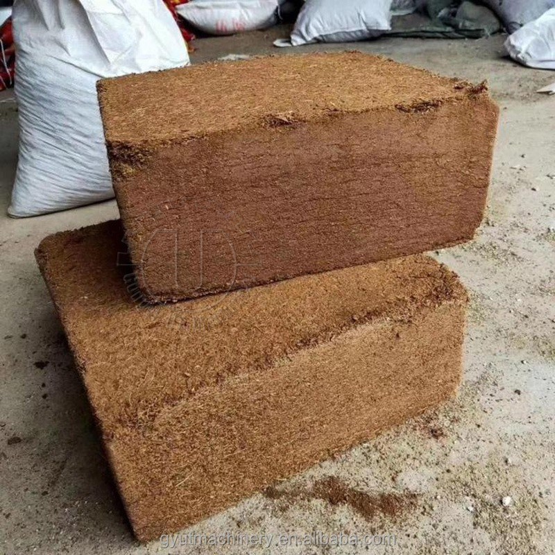 Fabricant de blocs de coco pour la machine de fabrication de blocs de cocopeat 2023