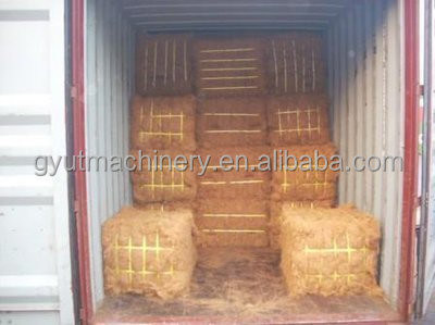 Presses à balles hydrauliques Machines agricoles pour la récolte de paille carrée et de foin