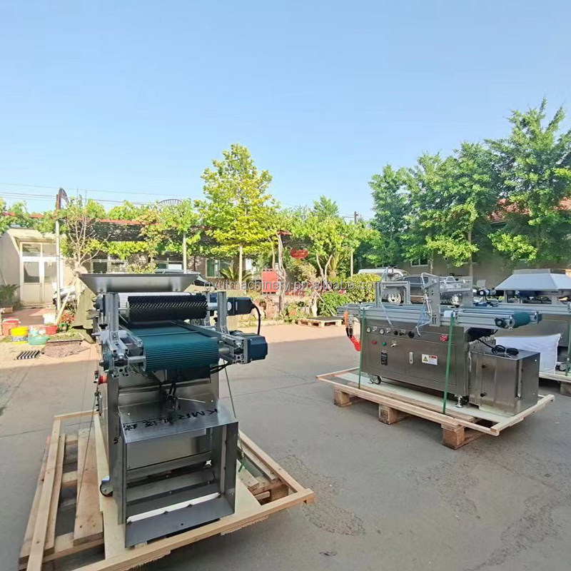 Machine de semis de tomates 120 plateau semences de laitue semences de légumes planteur de semences pour plateau plastique