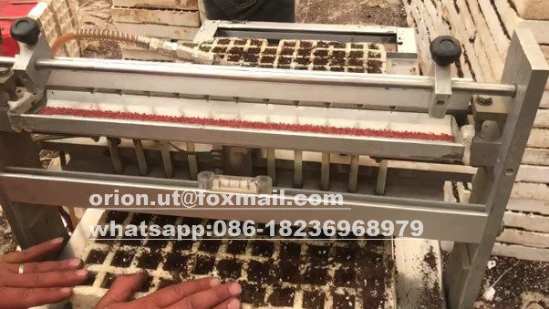 Machine de semis de tomates 120 plateau semences de laitue semences de légumes planteur de semences pour plateau plastique