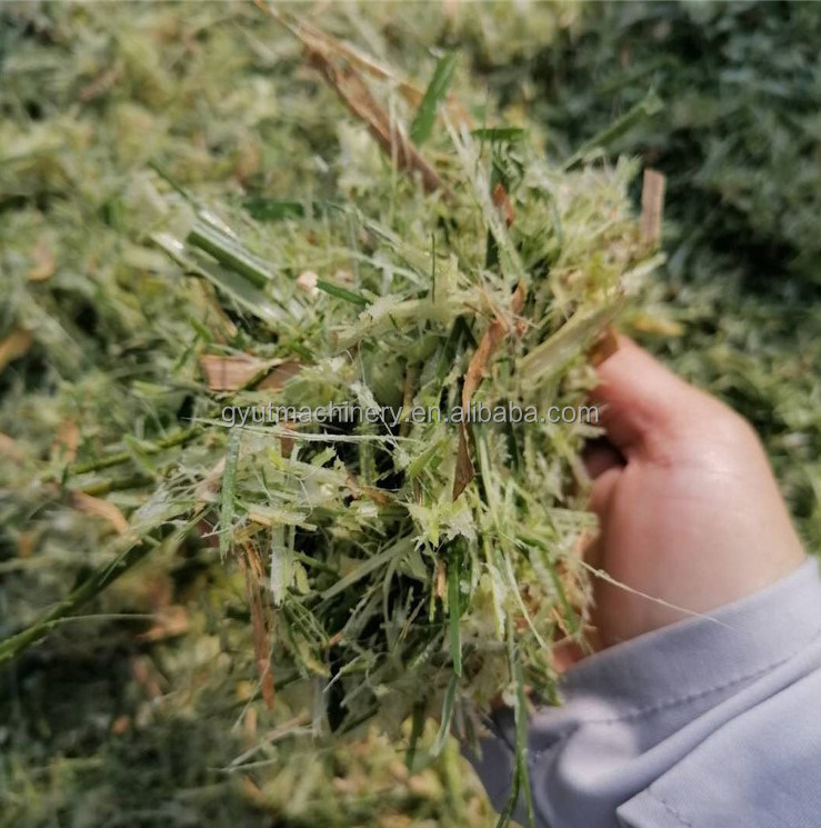 Coupeuse de fourrage minière de première classe Coupeuse de paille pour la coupe d'herbe du bétail au Pakistan