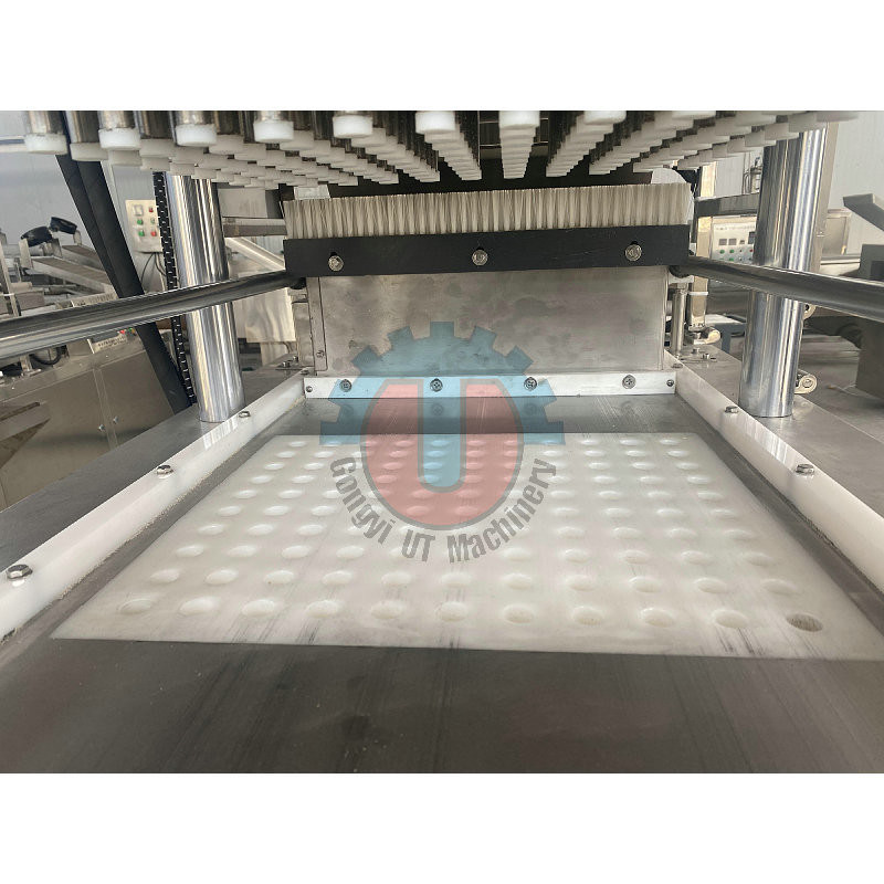 Machine automatique de pressage de sucre à l'aide de morceaux de café en argent de 300 kg/h pour la fabrication de sucre en cubes