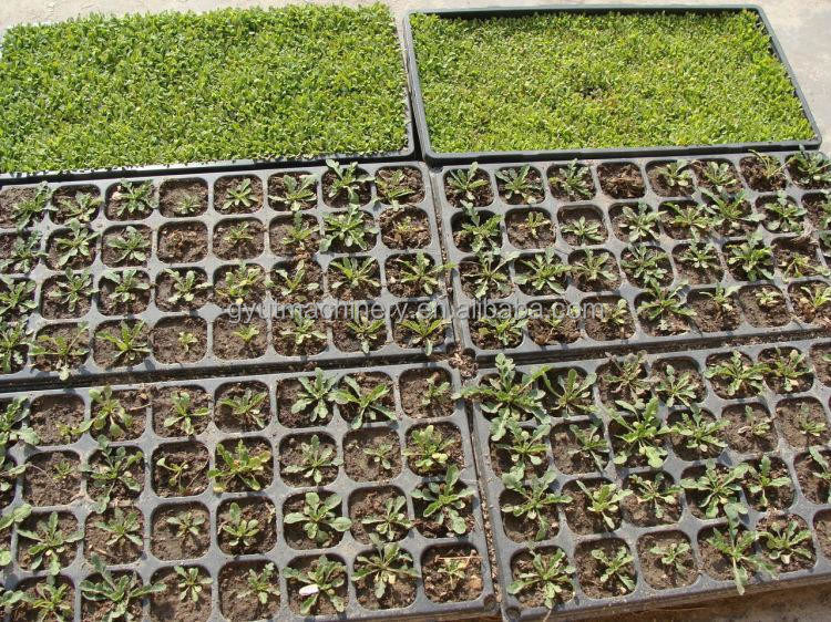 1140*850*1050mm Taille Agriculture Microgreens machine à semer pour la plantation de graines de tomate