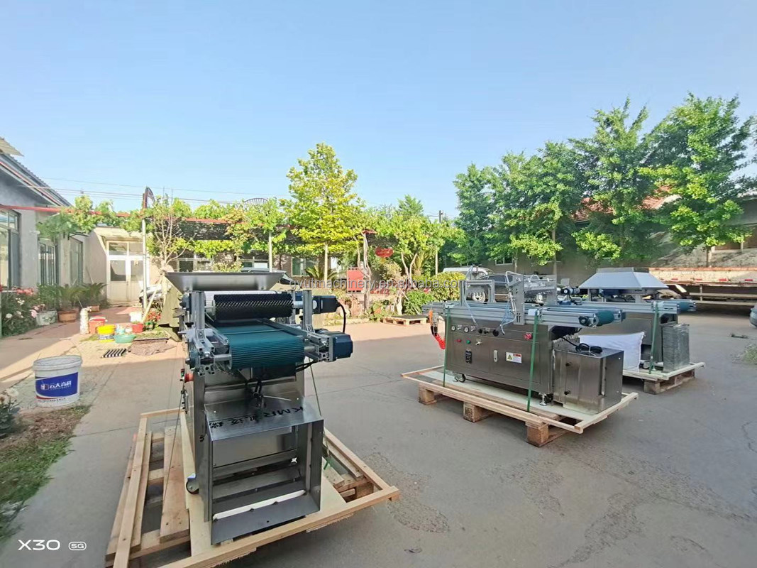 Machine à semer pneumatique à 8-15 cm d'espacement entre les rangées pour semis de fleurs de légumes dans les magasins alimentaires