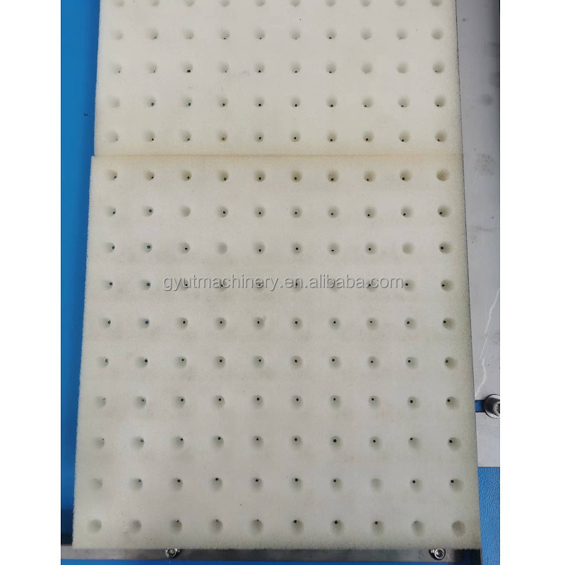 Discount Machine de plantation de semis pour la pépinière de graines de chou 600*700*800mm Taille