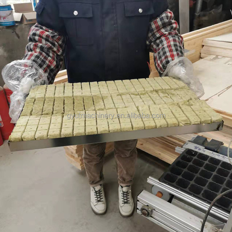 Discount Machine de plantation de semis pour la pépinière de graines de chou 600*700*800mm Taille