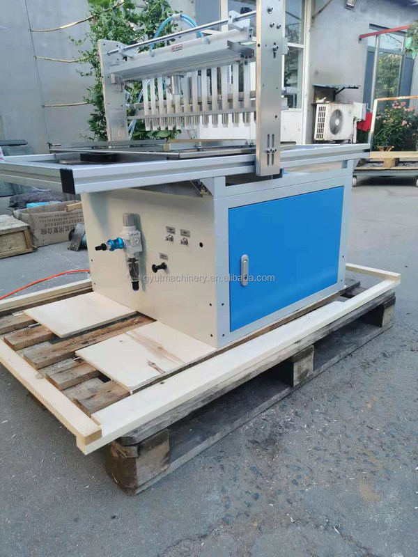 Machine à semer des plateaux de micro-vert en 11 rangées avec bande transporteuse et revêtement en haut en Australie