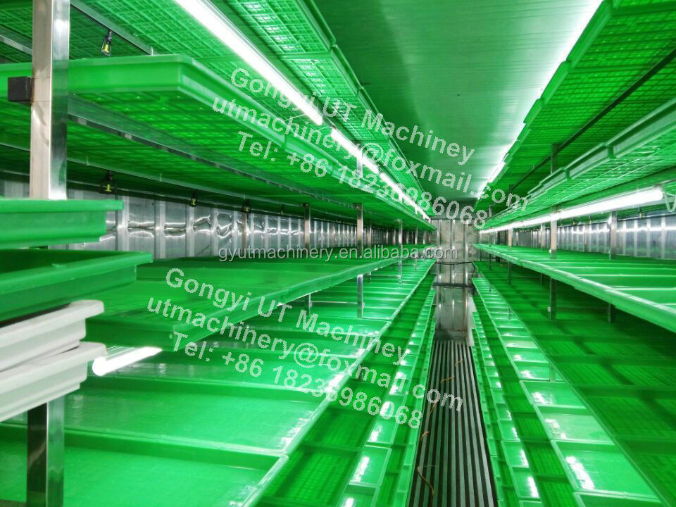 Chambre de culture de fourrages hydroponiques d'orge de type conteneur compact pour une taille optimale de la boîte de germes