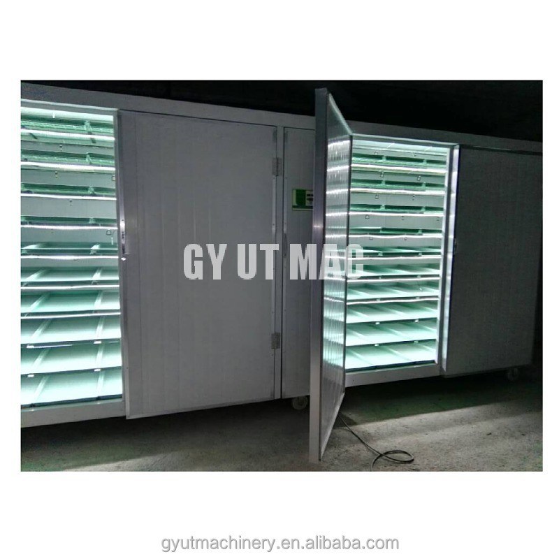 Capacité de 500 kg/jour Machines de culture de germes à micro-vert de type conteneur multi-couches