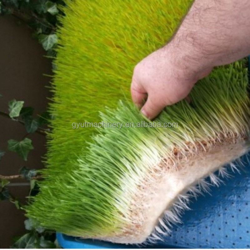 Des machines hydroponiques de première qualité pour la culture de légumes pour les ateliers de réparation