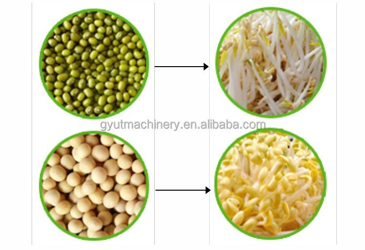 Des machines hydroponiques de première qualité pour la culture de légumes pour les ateliers de réparation