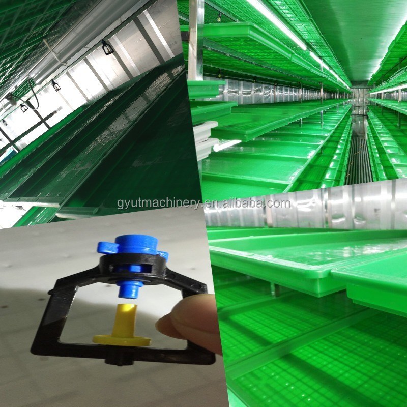 Machine à germer de fourrage hydroponique de 2400w pour la production d'aliments pour volailles en taille 61*44*27cm