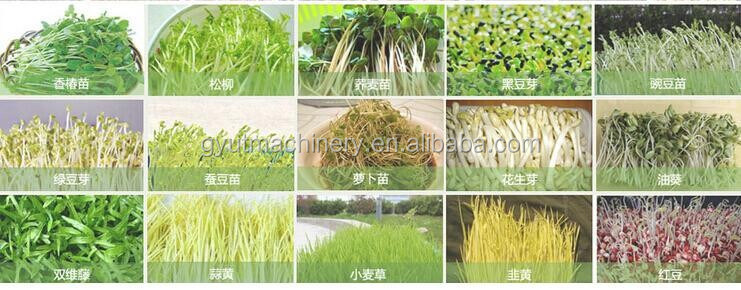 2024 Publicité C Machines de récolte pour la récolte Produits aquaponiques