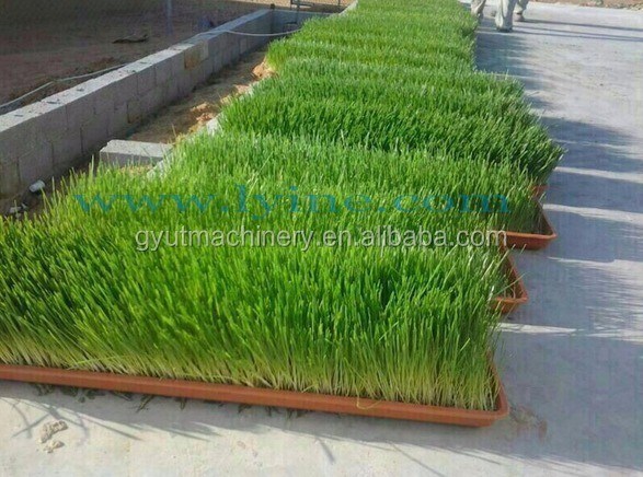 Mini-récolteuse certifiée ISO pour la récolte de microgréens aquaponiques par plusieurs utilisateurs