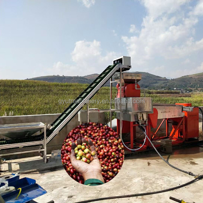 Machine à éplucher les grains de café et de cacao pour la production industrielle à 910*730*1265 mm