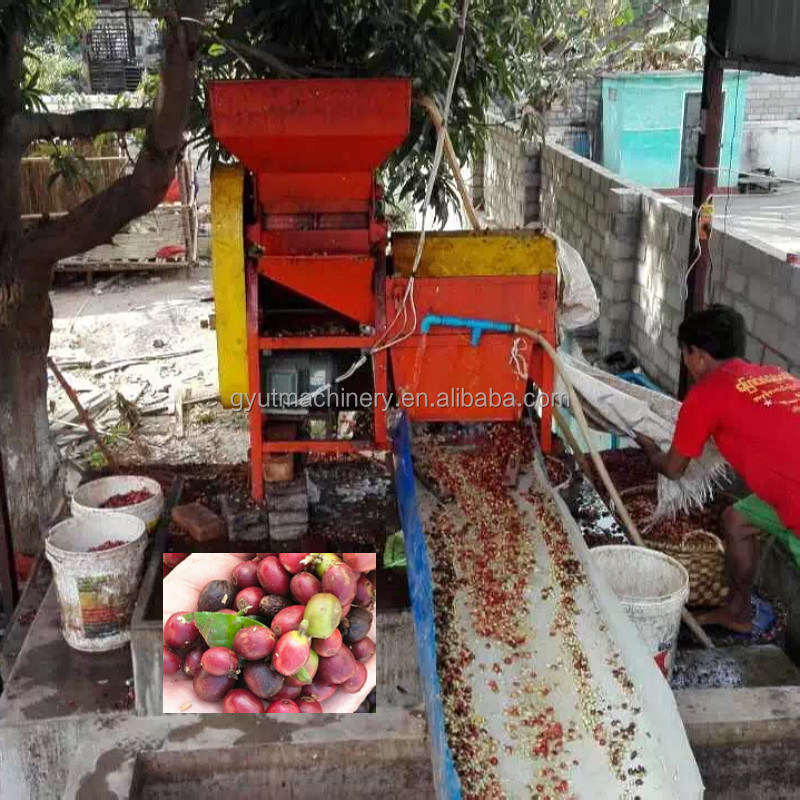 Machine à éplucher les grains de café et de cacao pour la production industrielle à 910*730*1265 mm