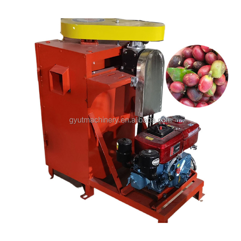Machine à éliminer la peau du grain de café pour une puissance de 2,2 kW et un nombre d'impulsion de 2 à 6 pièces