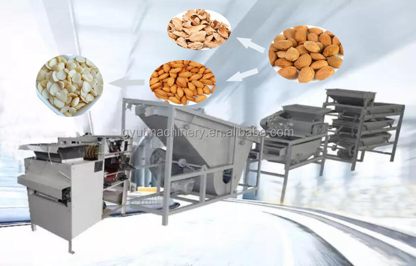 1.5KW Almond Huller usine pour le soutien en ligne très populaire Almond Shell Machine cassée