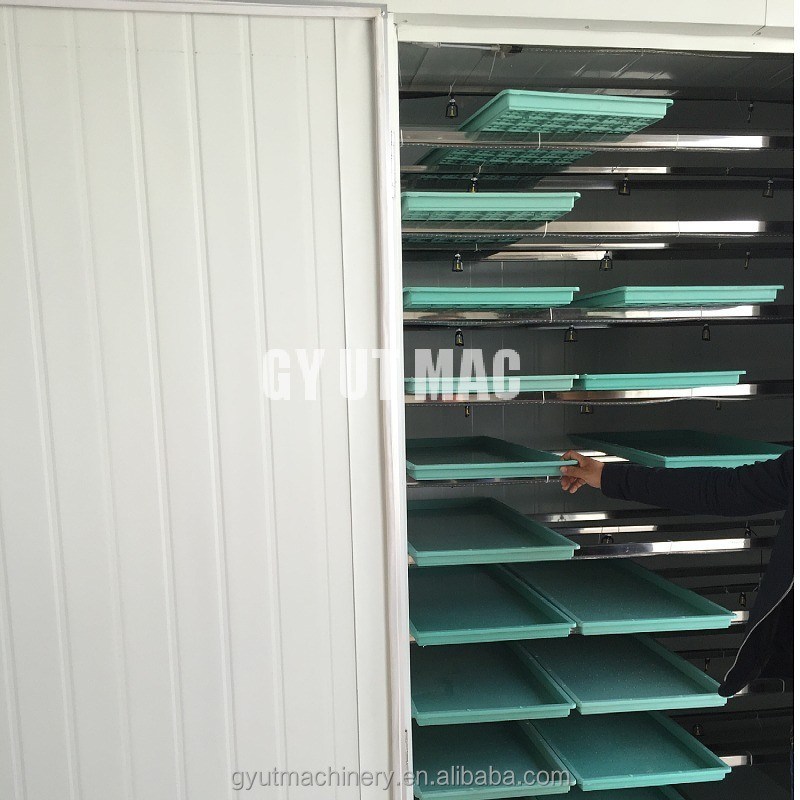 L'agriculture urbaine à l'avenir