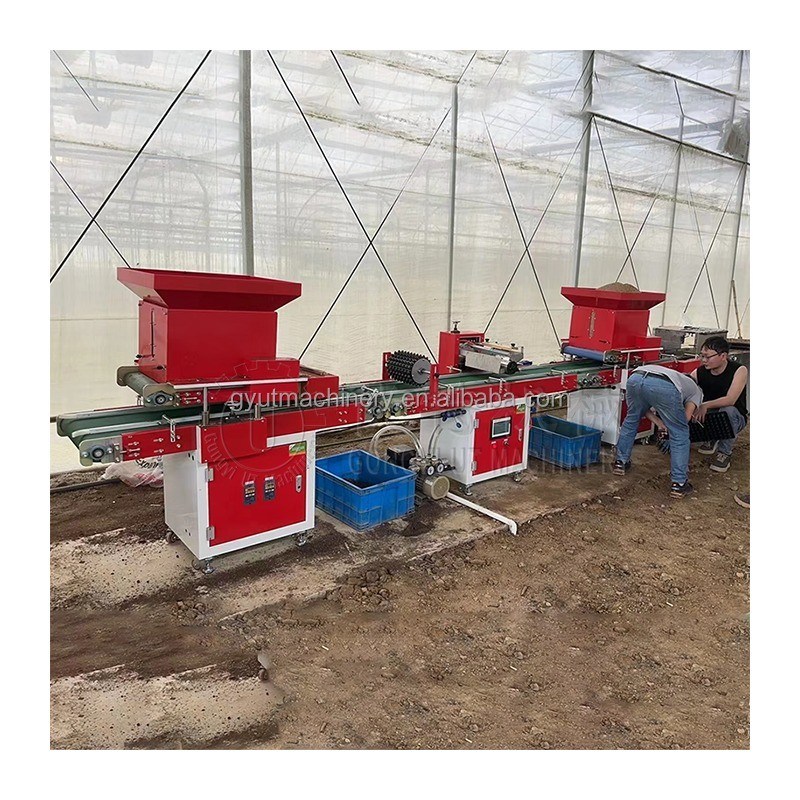 Machine à semer de tomates pour 9 rangées de basilic de fenouil de semence de laitue de semis de légumes semeur